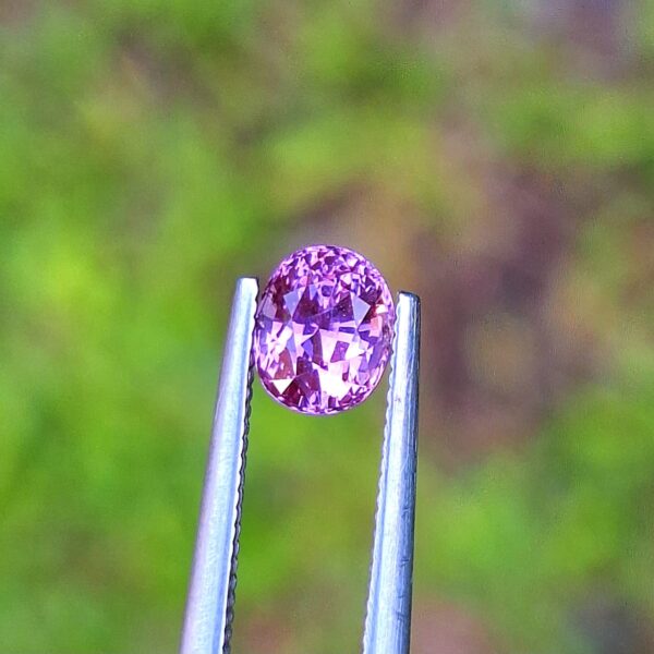 Natural Vivid Pink Sapphire - 1.17 Carats | Untreated | Ceylon - Image 2