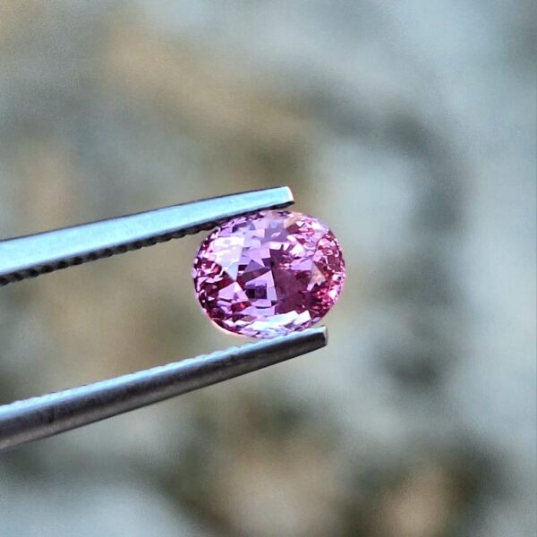 Natural Vivid Pink Sapphire - 1.17 Carats | Untreated | Ceylon